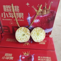 云南昭通早熟冰糖苹果神沙、青香蕉、华硕、红露7月份上市