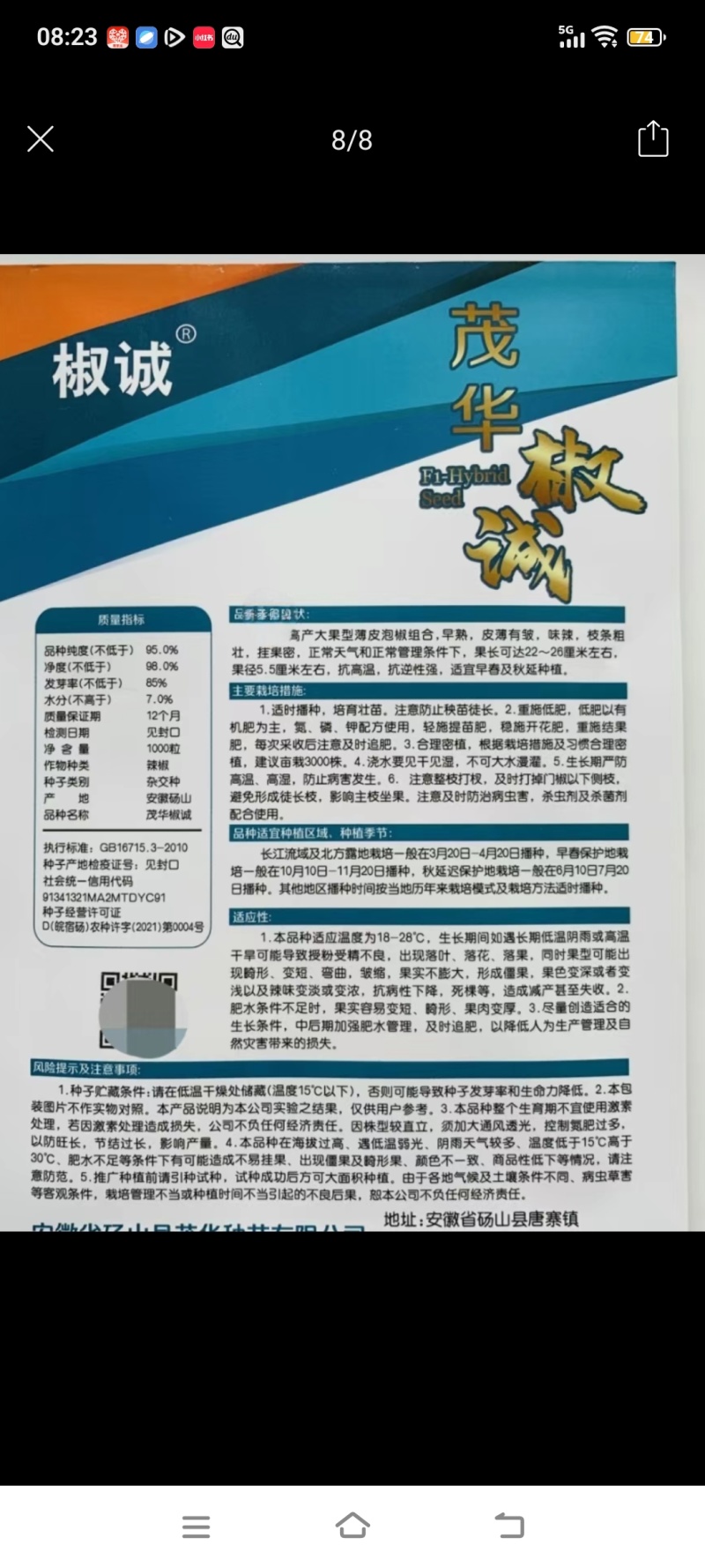 欧丽900薄皮青椒种籽大果高产抗病泡椒种子四季早熟阳台蔬