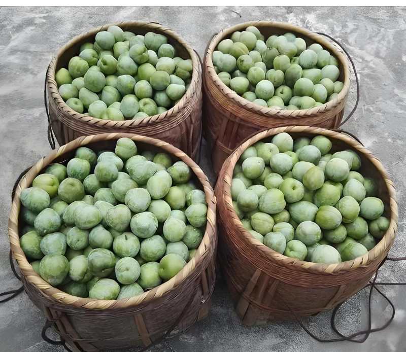 奈李，口感脆甜，市场，电商，出口，产地直发