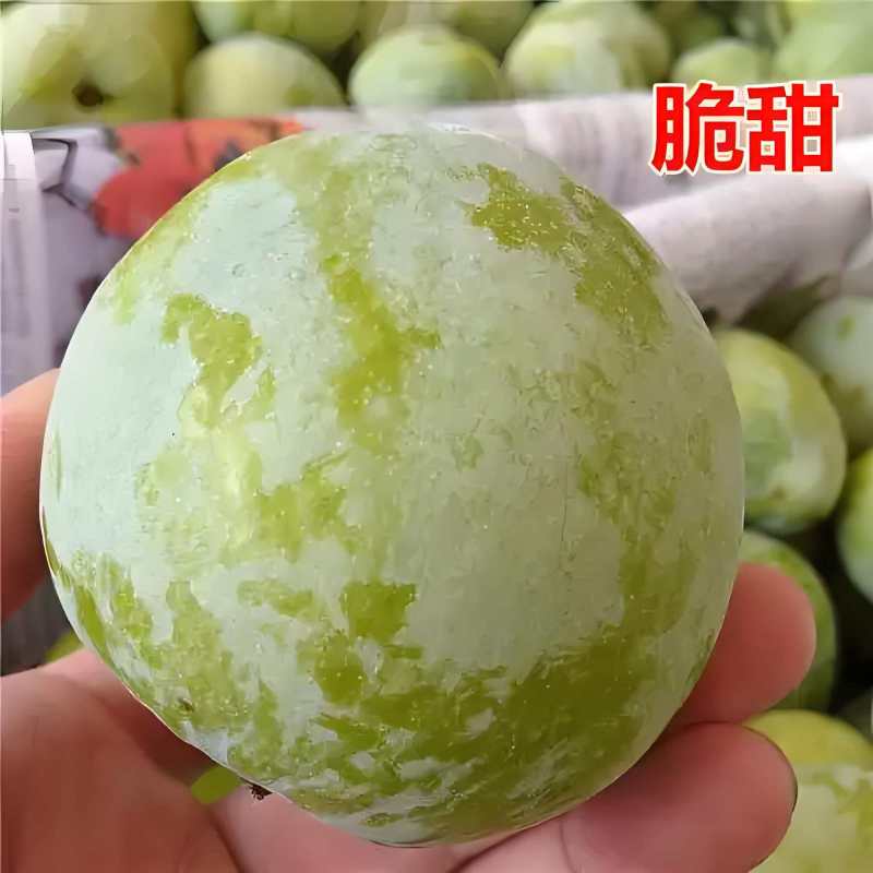 奈李，口感脆甜，市场，电商，出口，产地直发