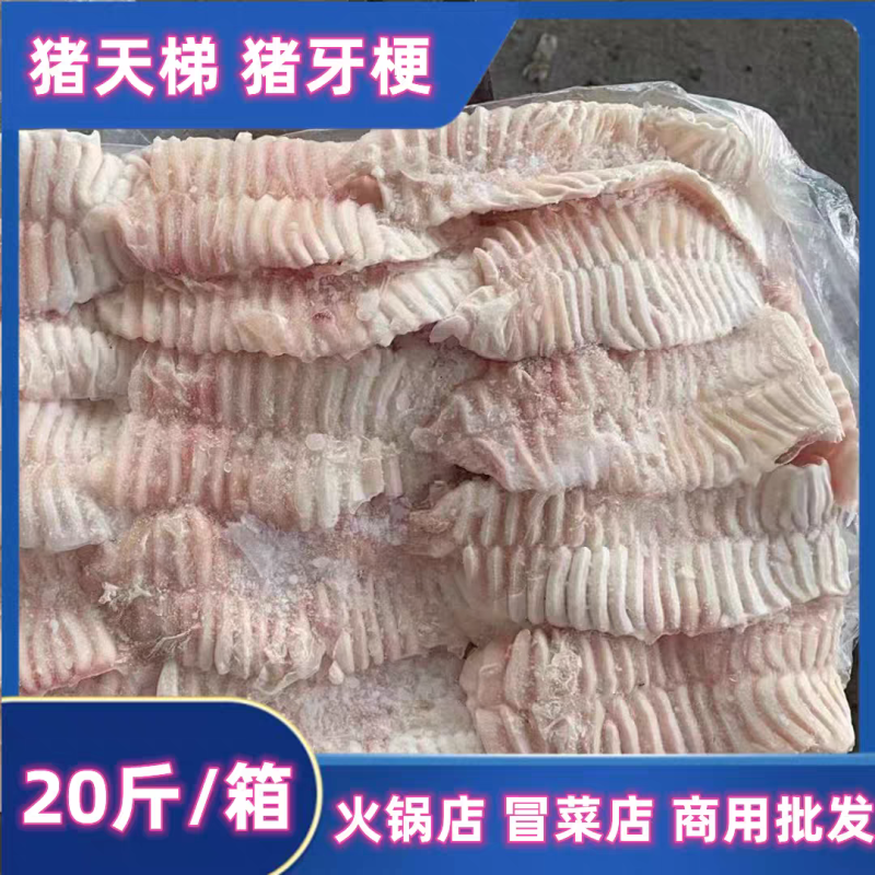 猪天梯货干冰水少精修不带肉猪天堂火锅食材板牙