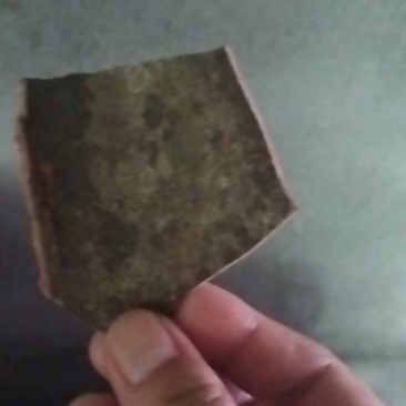 桂皮，干货湿货都可以