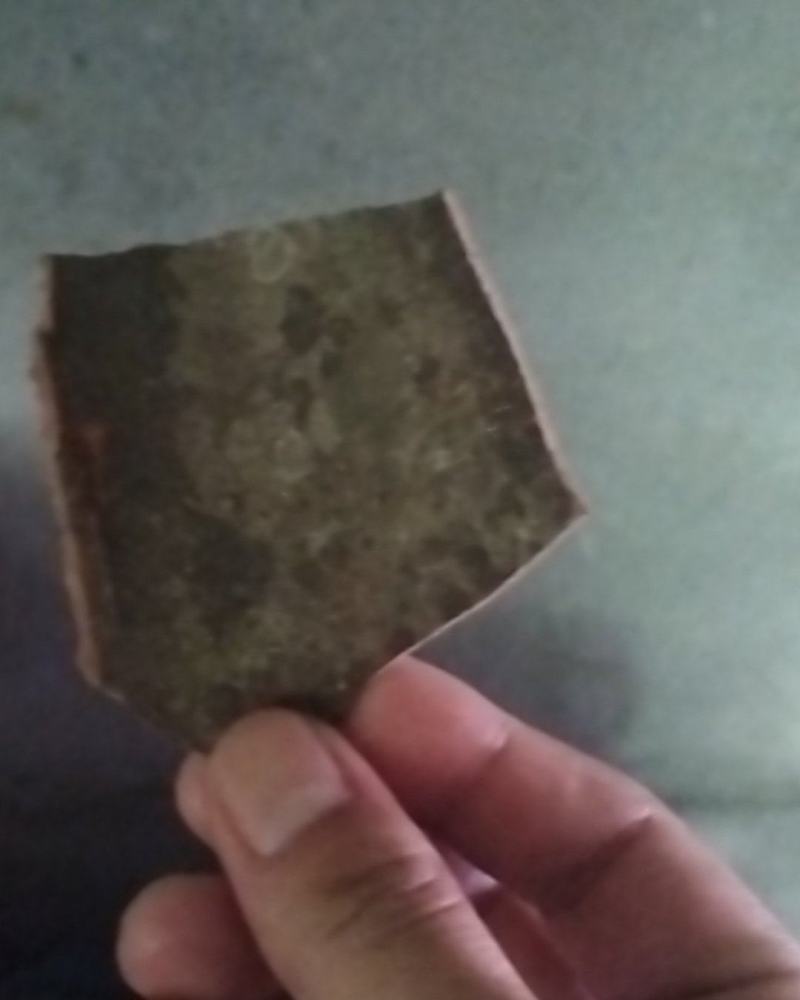 桂皮，干货湿货都可以