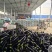 山西精品茄子源头产地全国可发量大质优价格优惠欢迎来电