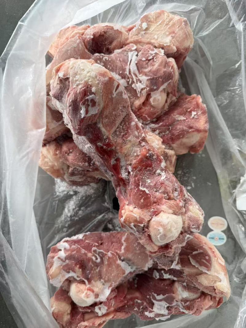 大肥猪前棒骨