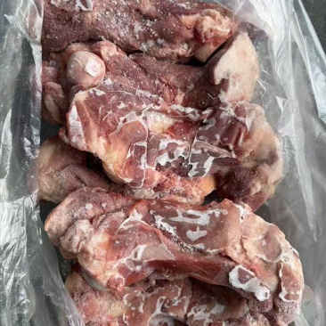 大肥猪前棒骨