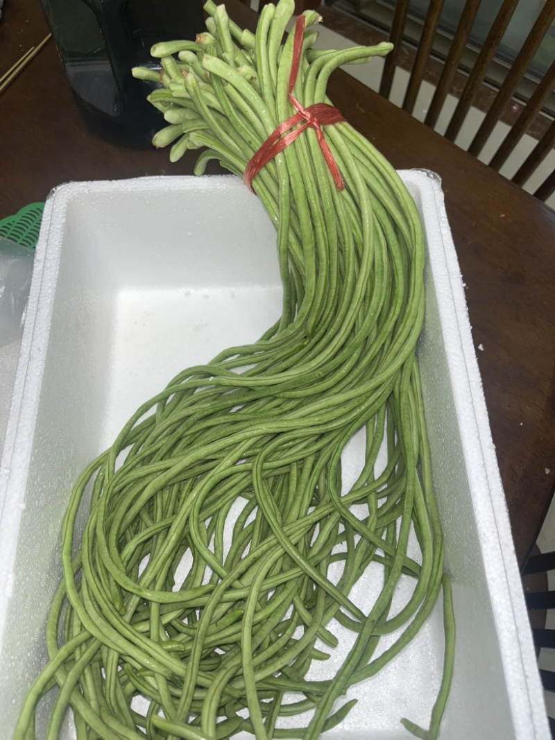 豆角供应，可以开发票