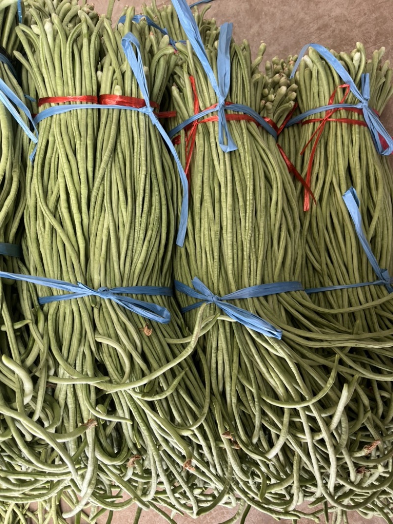 豆角供应，可以开发票
