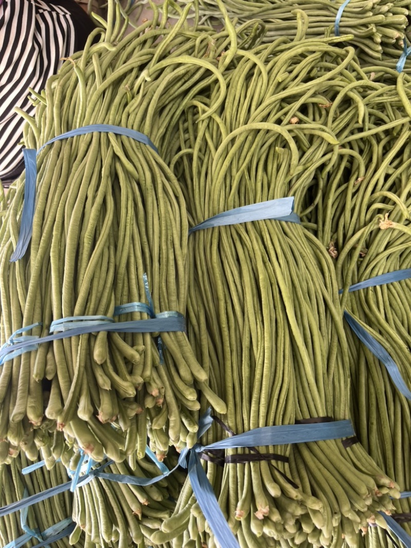豆角供应，可以开发票