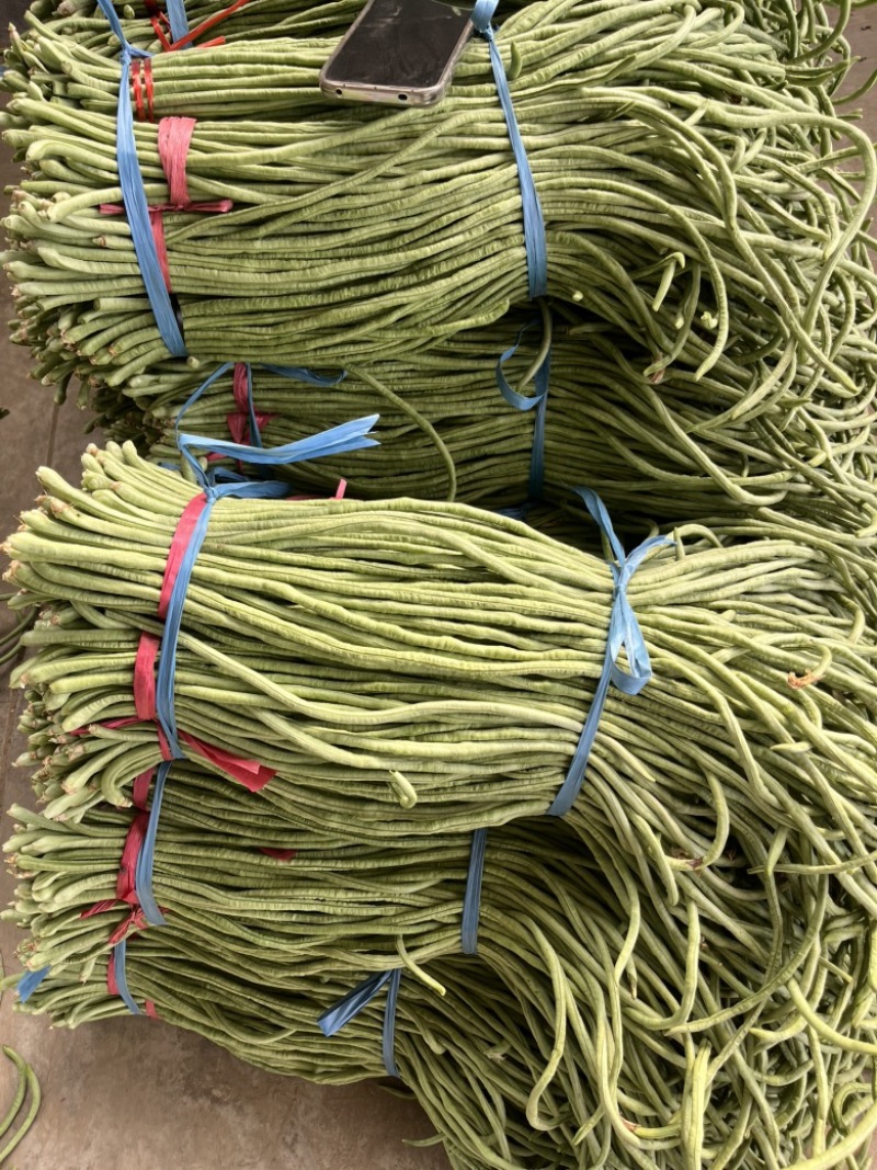 豆角供应，可以开发票