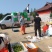 翠冠梨