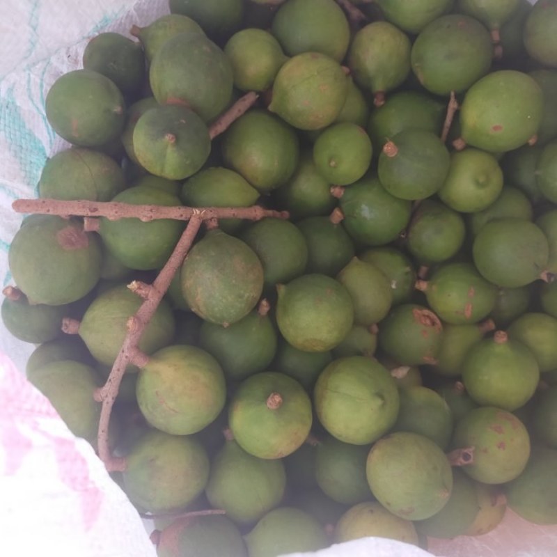 夏威夷果