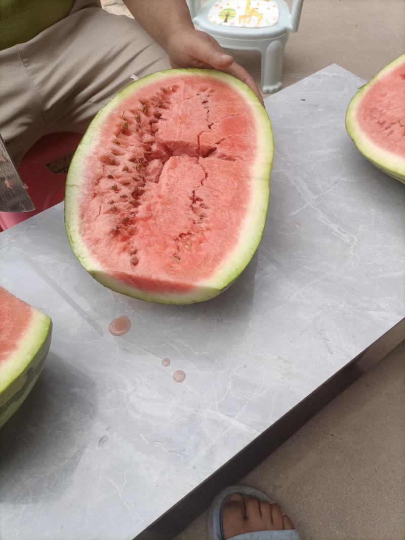 靖远西瓜