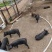 家里养的土猪、长白猪（预计10月份出栏）和肉牛