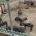 家里养的土猪、长白猪（预计10月份出栏）和肉牛