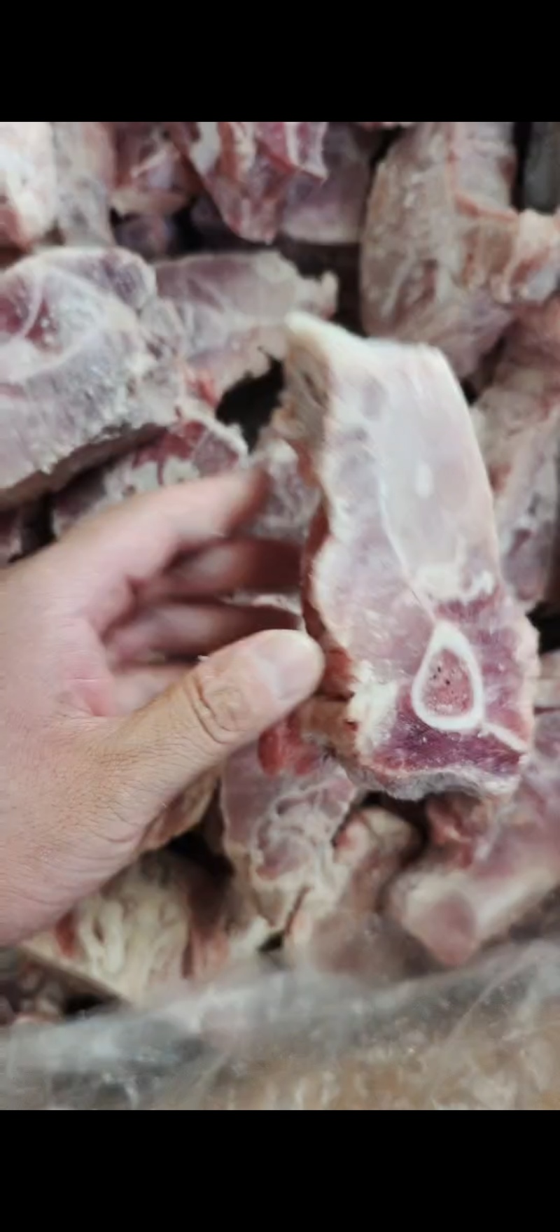 多肉骨块猪骨