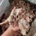 纯干无冰牛剔骨肉