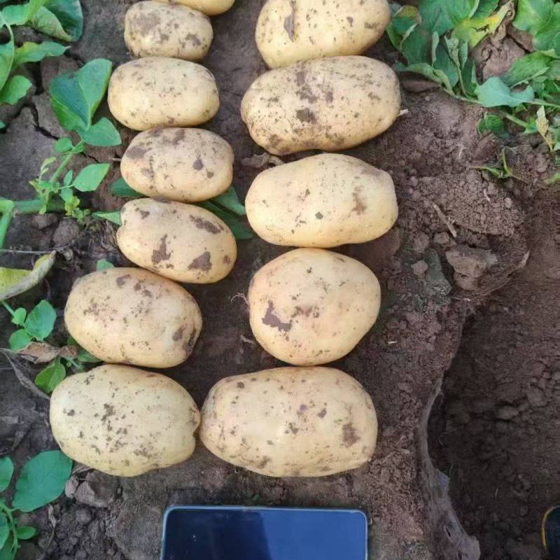 精品实验一