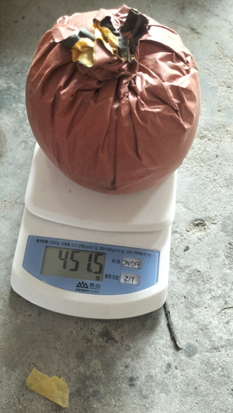 砀山县圆黄梨，含糖量高，鲜果精选装箱，产地对接市场及电商