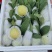 珍珠蕃石榴红心芭乐白心芭乐可长期大量供应