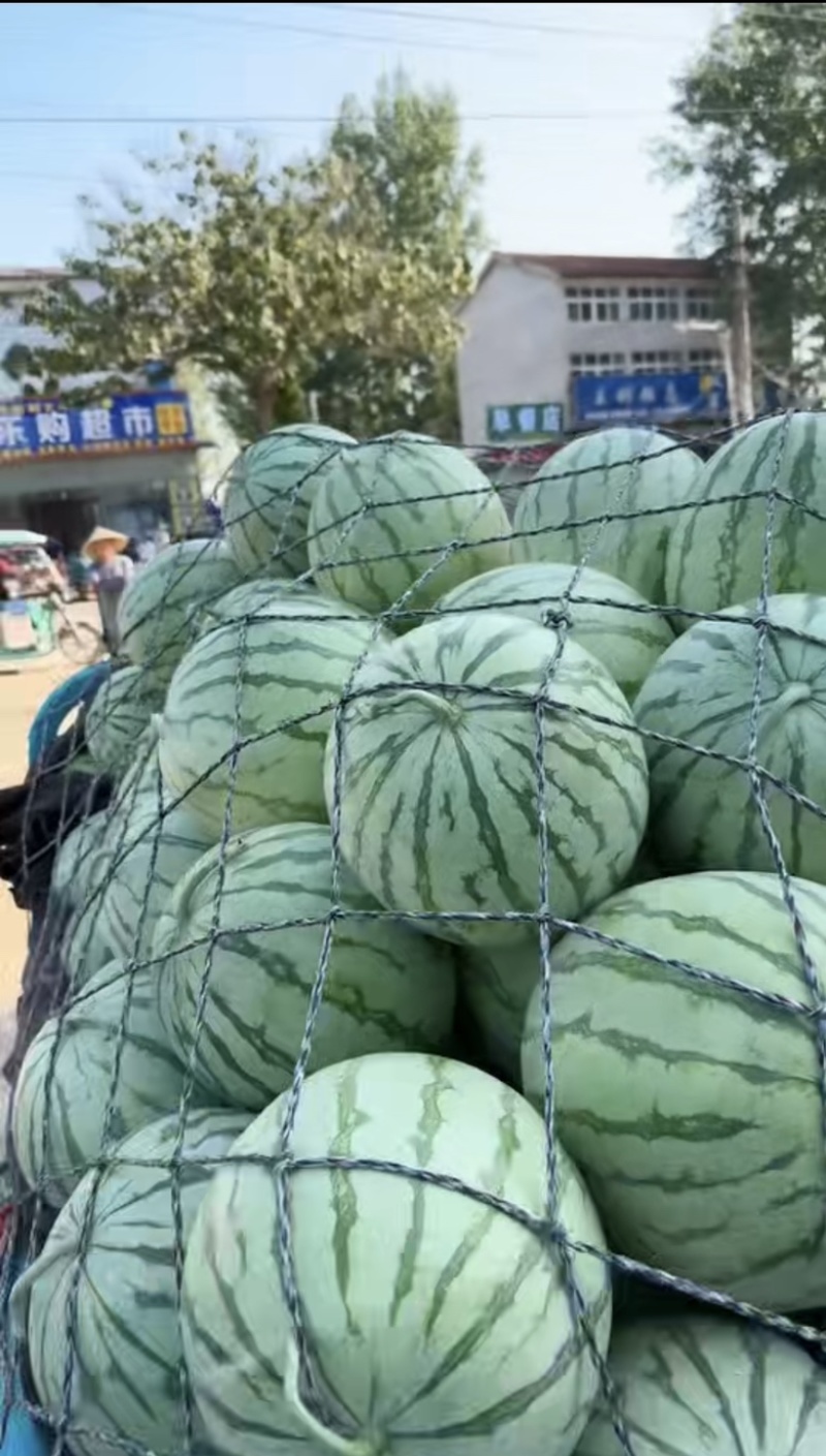 （推荐）金花西瓜一手货源诚信经营价格合理