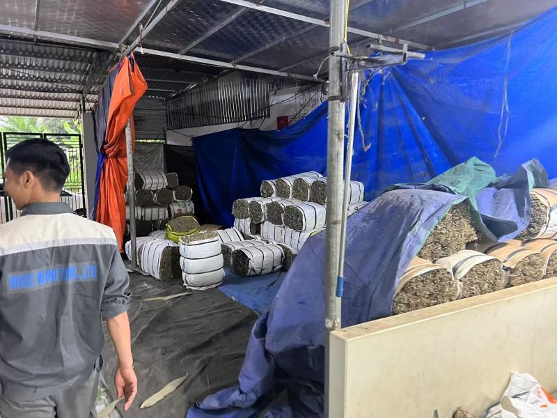 越南进口麻竹粽叶无药，干叶，月产150吨。
