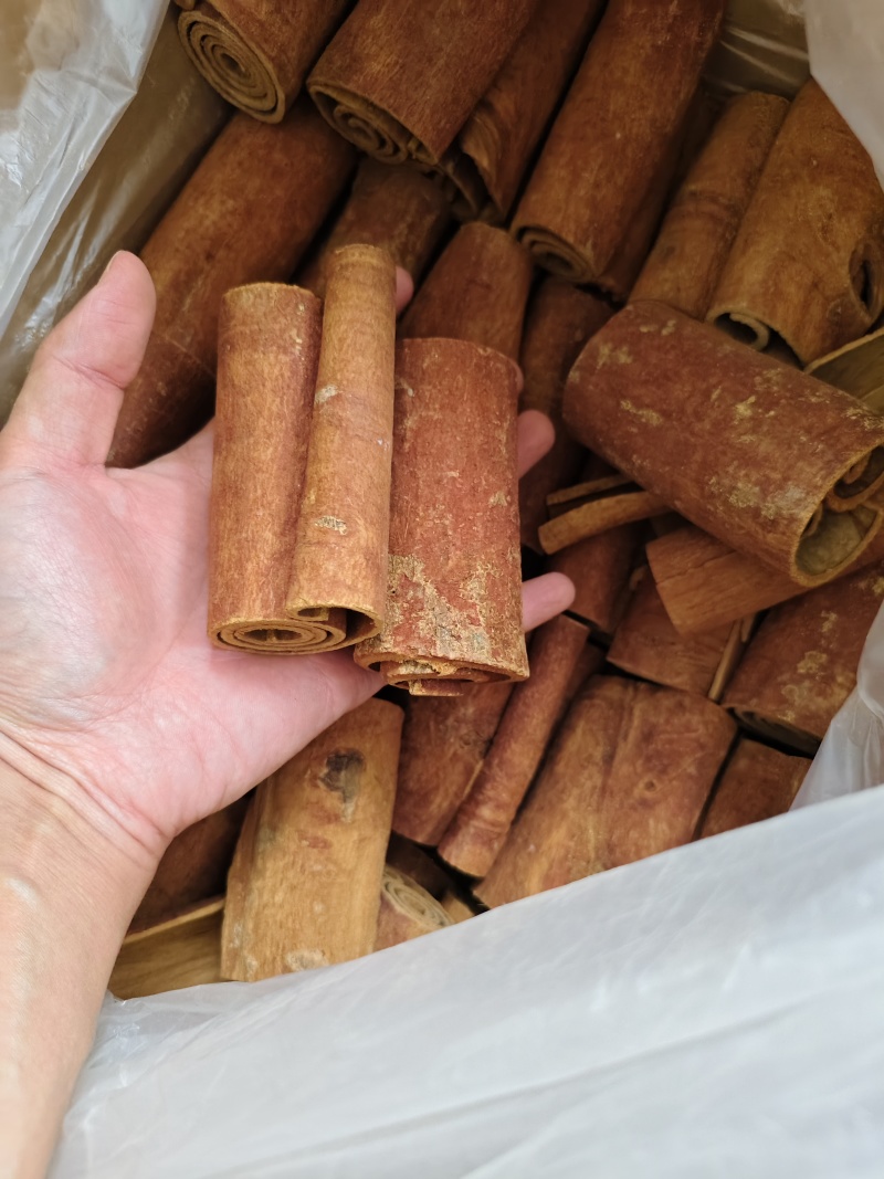 肉桂油桂各种规格齐全批发零售量大优惠