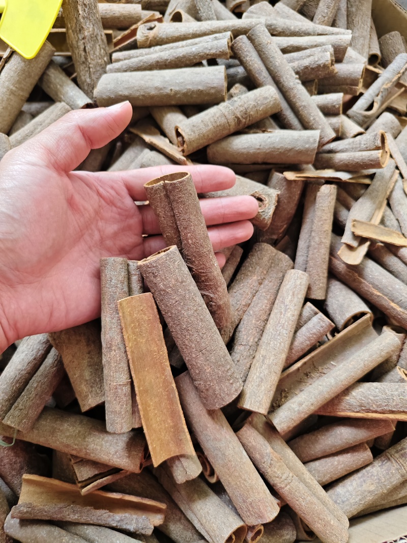 肉桂油桂各种规格齐全批发零售量大优惠
