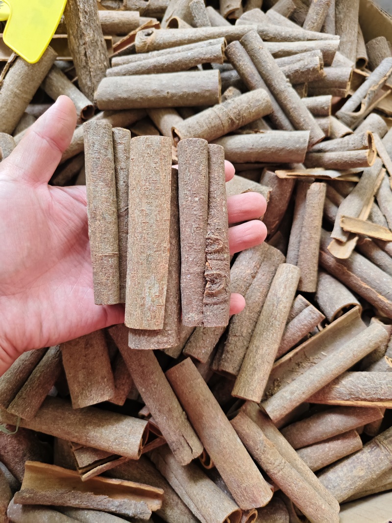 肉桂油桂各种规格齐全批发零售量大优惠
