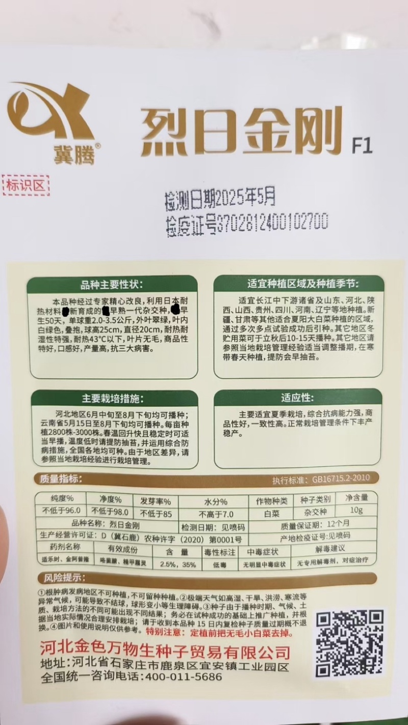 夏季耐热白菜种子夏季耐高温早秋白菜早熟白菜种子