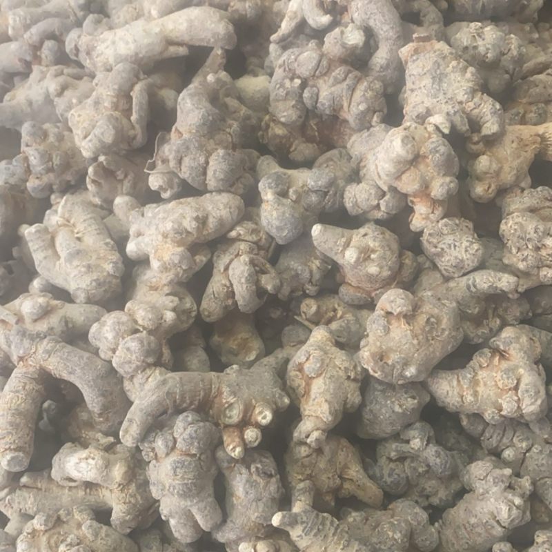 三七粉
