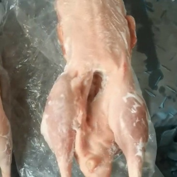大鹅
