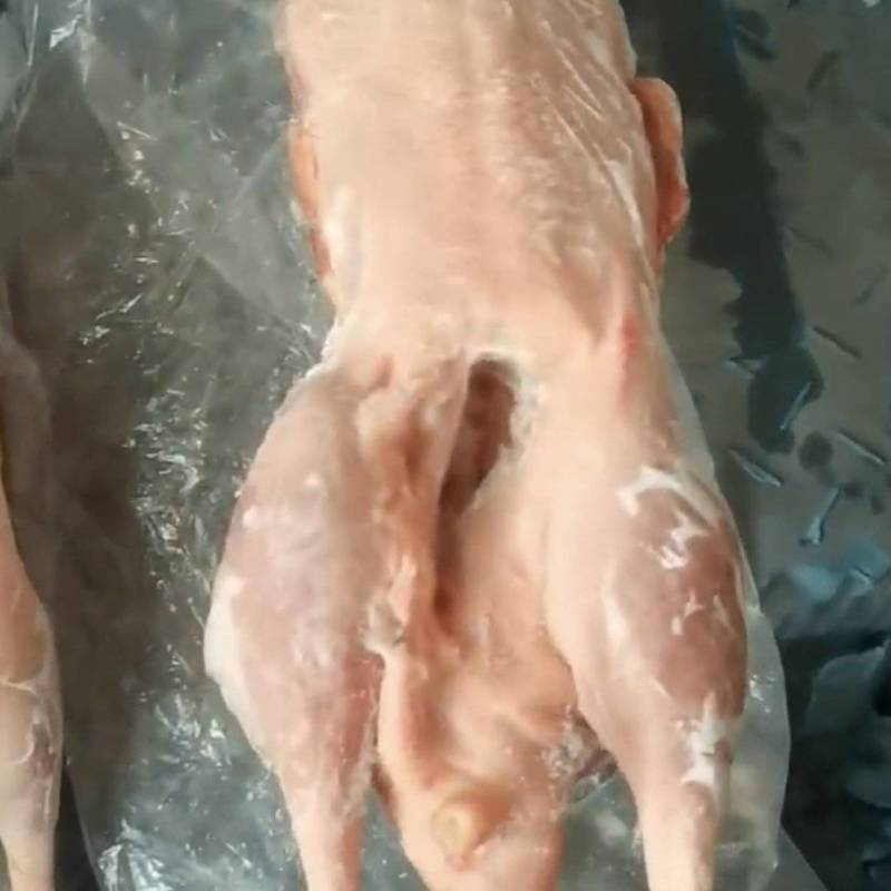 大鹅