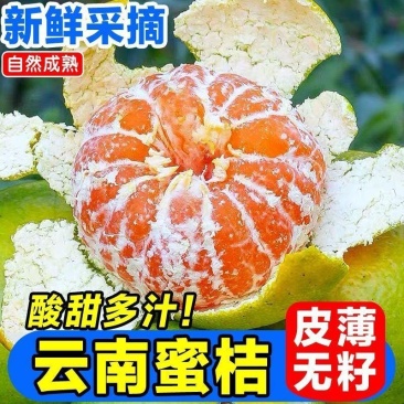 橘子新鲜云南蜜桔一件代发现摘青皮蜜橘无籽柑橘酸甜桔子