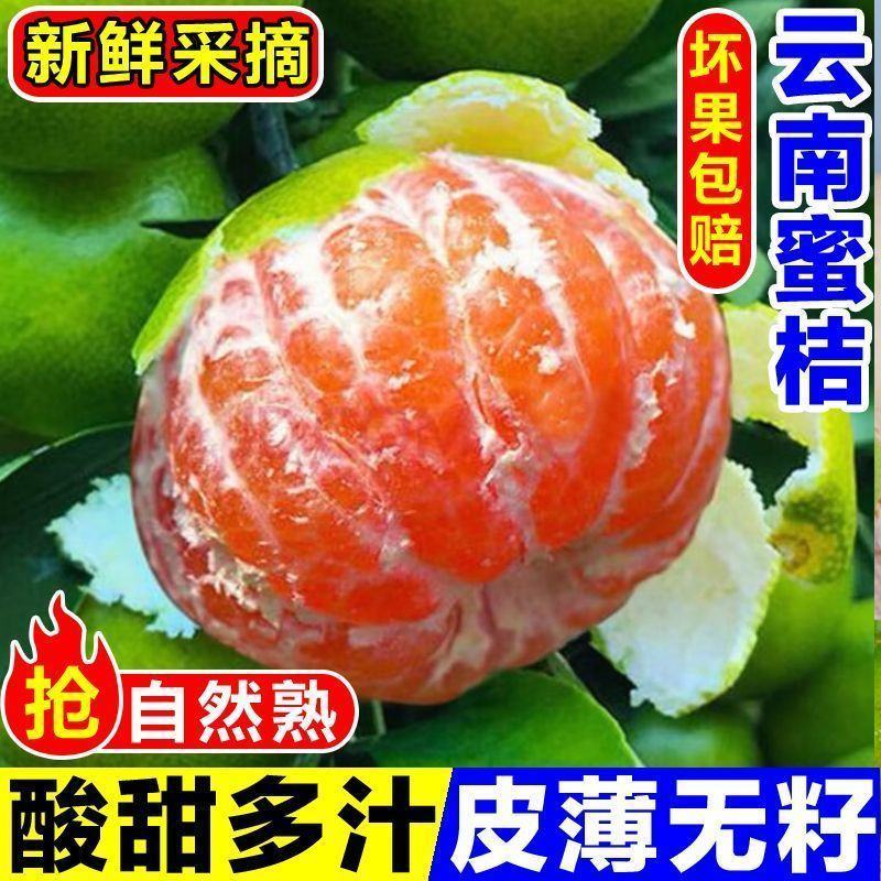 橘子新鲜云南蜜桔一件代发现摘青皮蜜橘无籽柑橘酸甜桔子