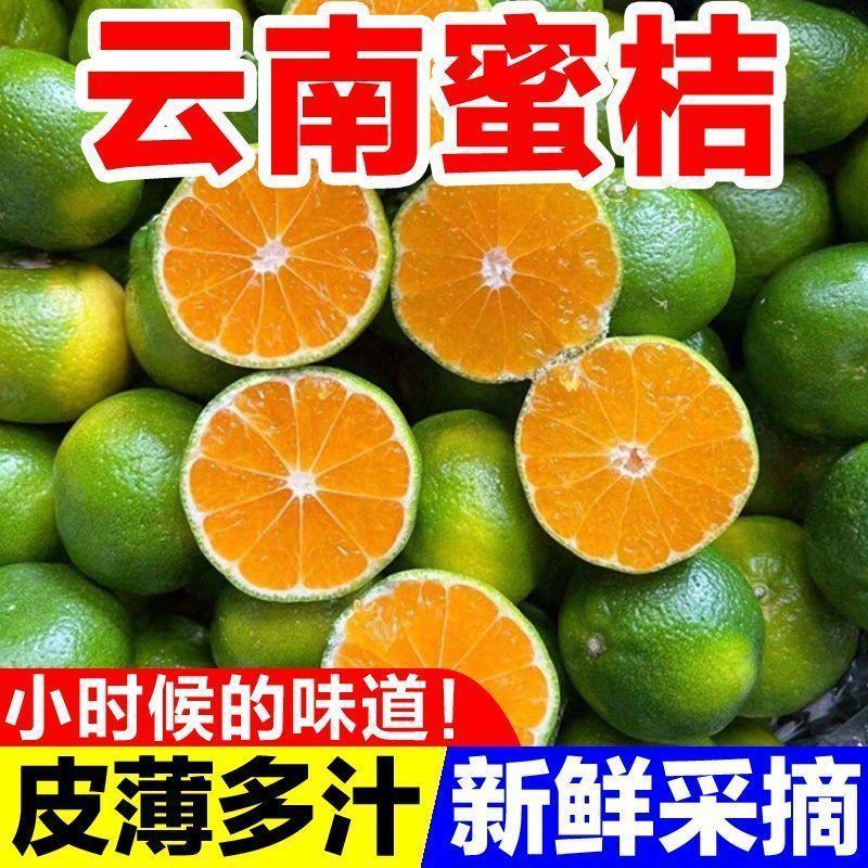 橘子新鲜云南蜜桔一件代发现摘青皮蜜橘无籽柑橘酸甜桔子