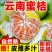 橘子新鲜云南蜜桔一件代发现摘青皮蜜橘无籽柑橘酸甜桔子