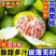 橘子新鲜云南蜜桔一件代发现摘青皮蜜橘无籽柑橘酸甜桔子