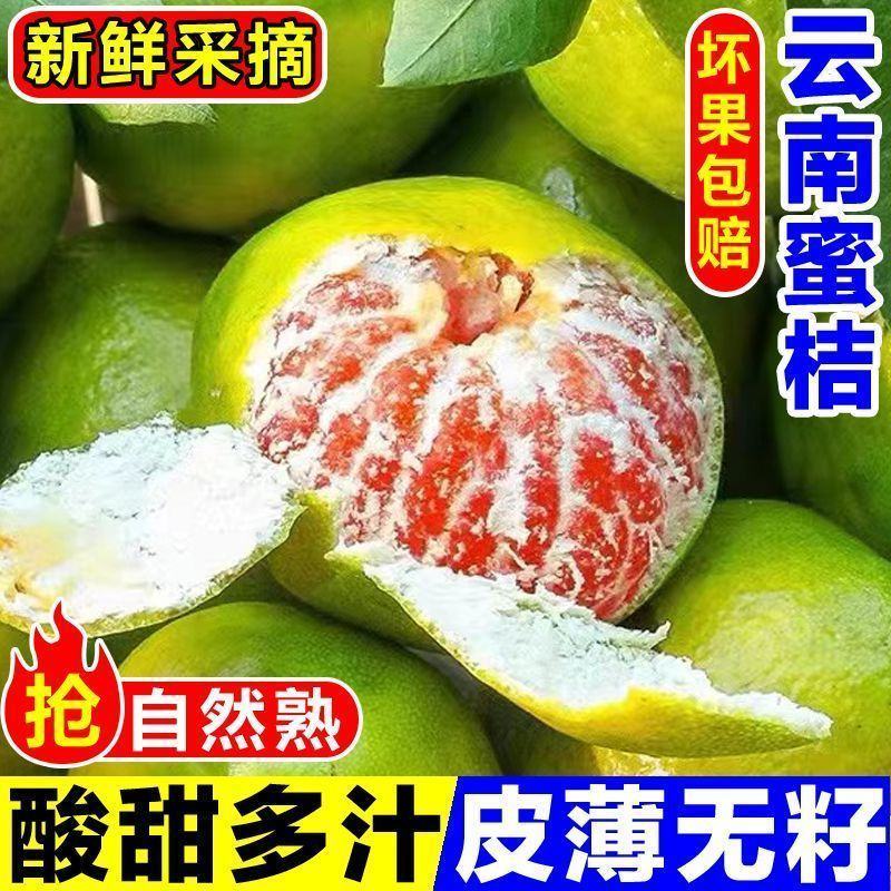橘子新鲜云南蜜桔一件代发现摘青皮蜜橘无籽柑橘酸甜桔子