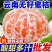橘子新鲜云南蜜桔一件代发现摘青皮蜜橘无籽柑橘酸甜桔子