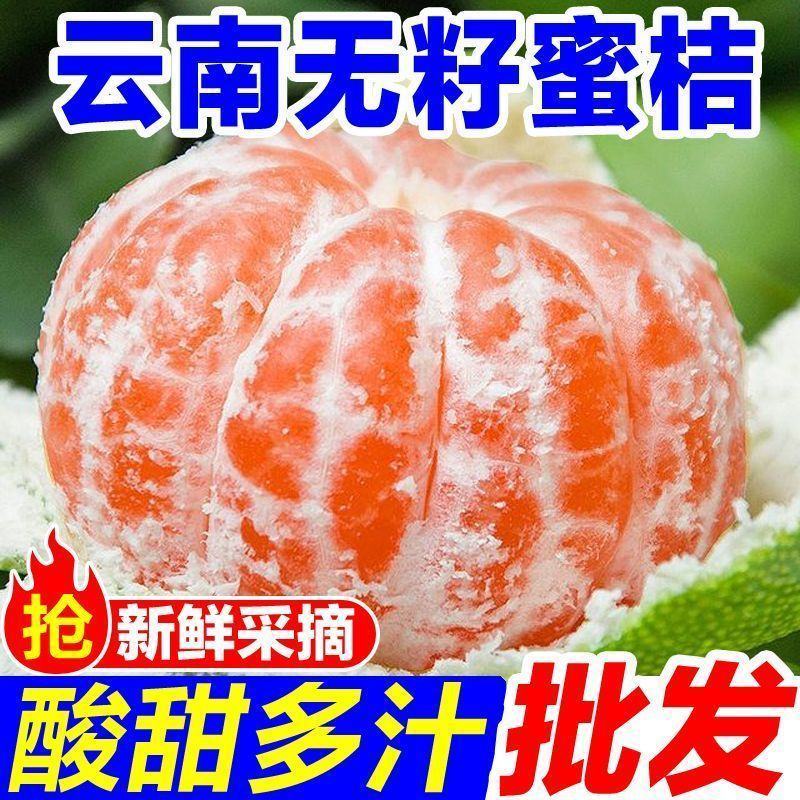 橘子新鲜云南蜜桔一件代发现摘青皮蜜橘无籽柑橘酸甜桔子