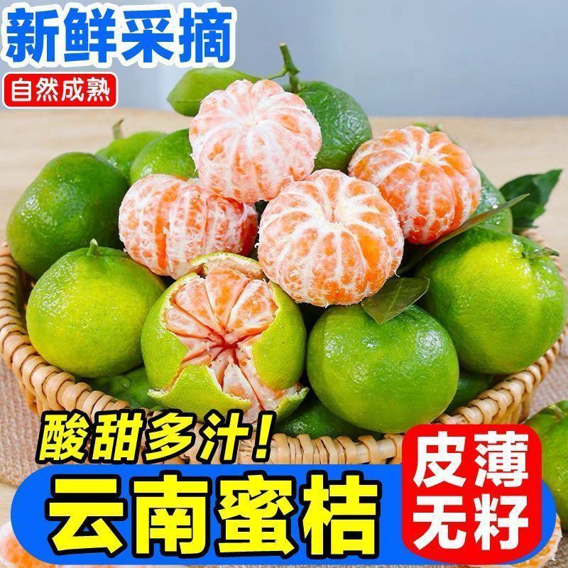 橘子新鲜云南蜜桔一件代发现摘青皮蜜橘无籽柑橘酸甜桔子