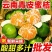 橘子新鲜云南蜜桔一件代发现摘青皮蜜橘无籽柑橘酸甜桔子