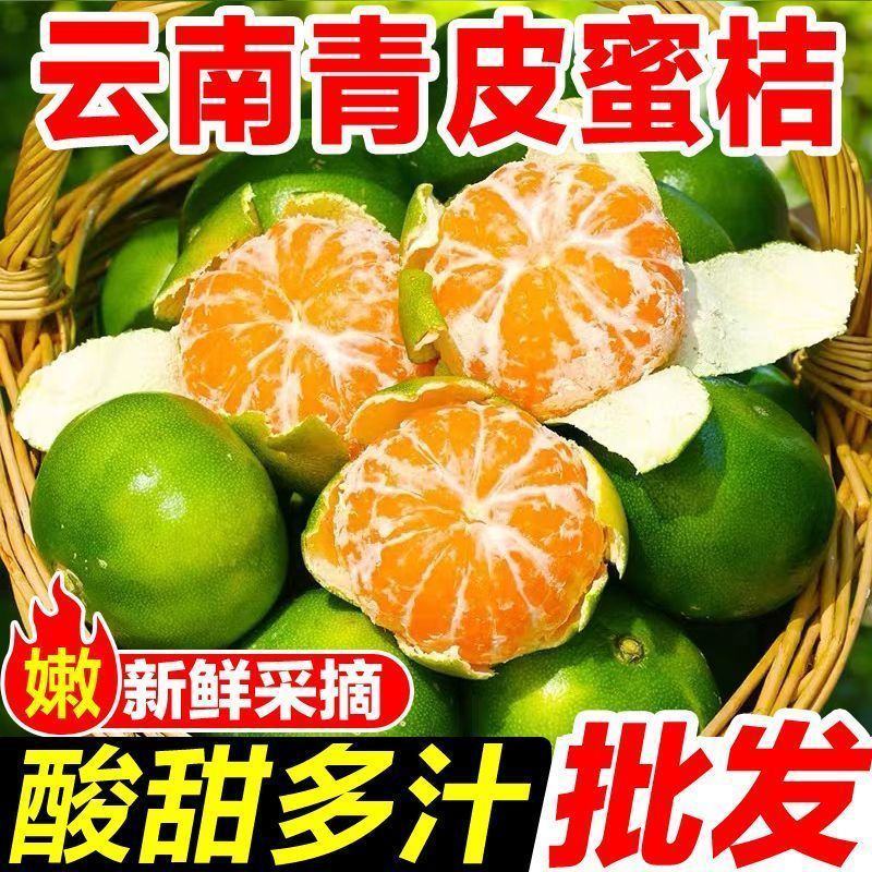 橘子新鲜云南蜜桔一件代发现摘青皮蜜橘无籽柑橘酸甜桔子