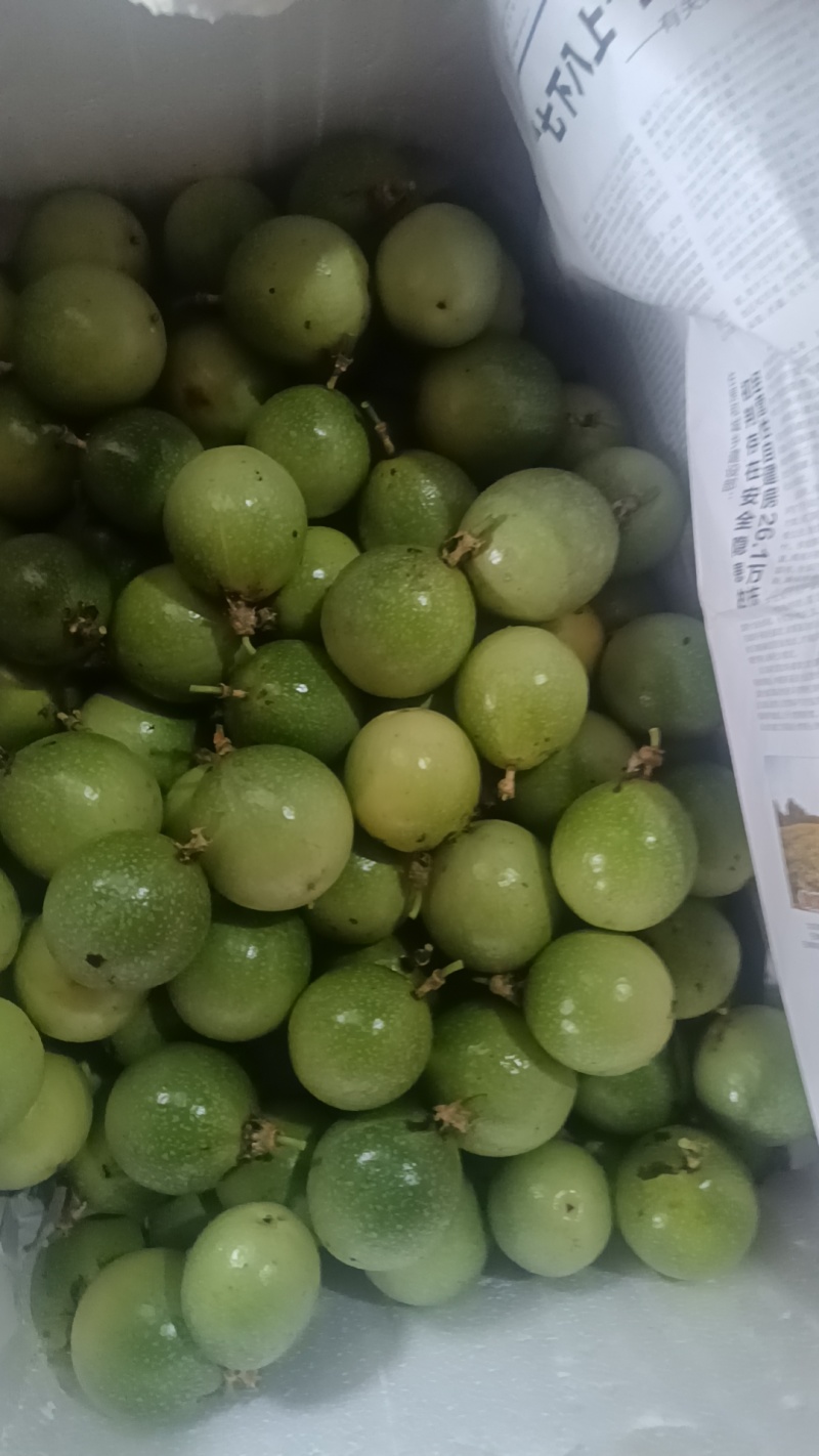 产地直供，价格美丽