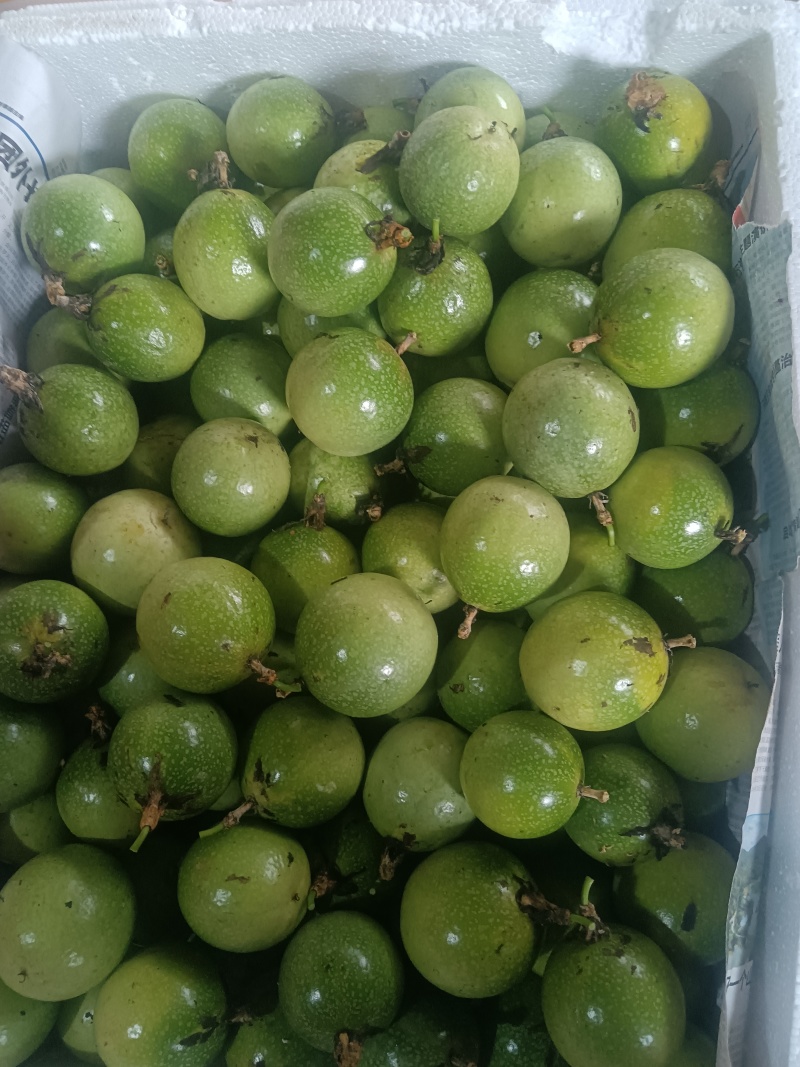 产地直供，价格美丽