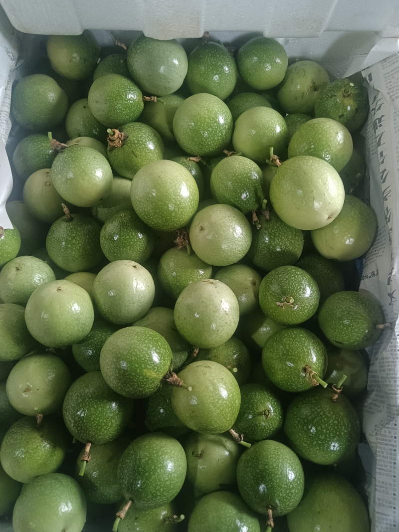 产地直供，价格美丽