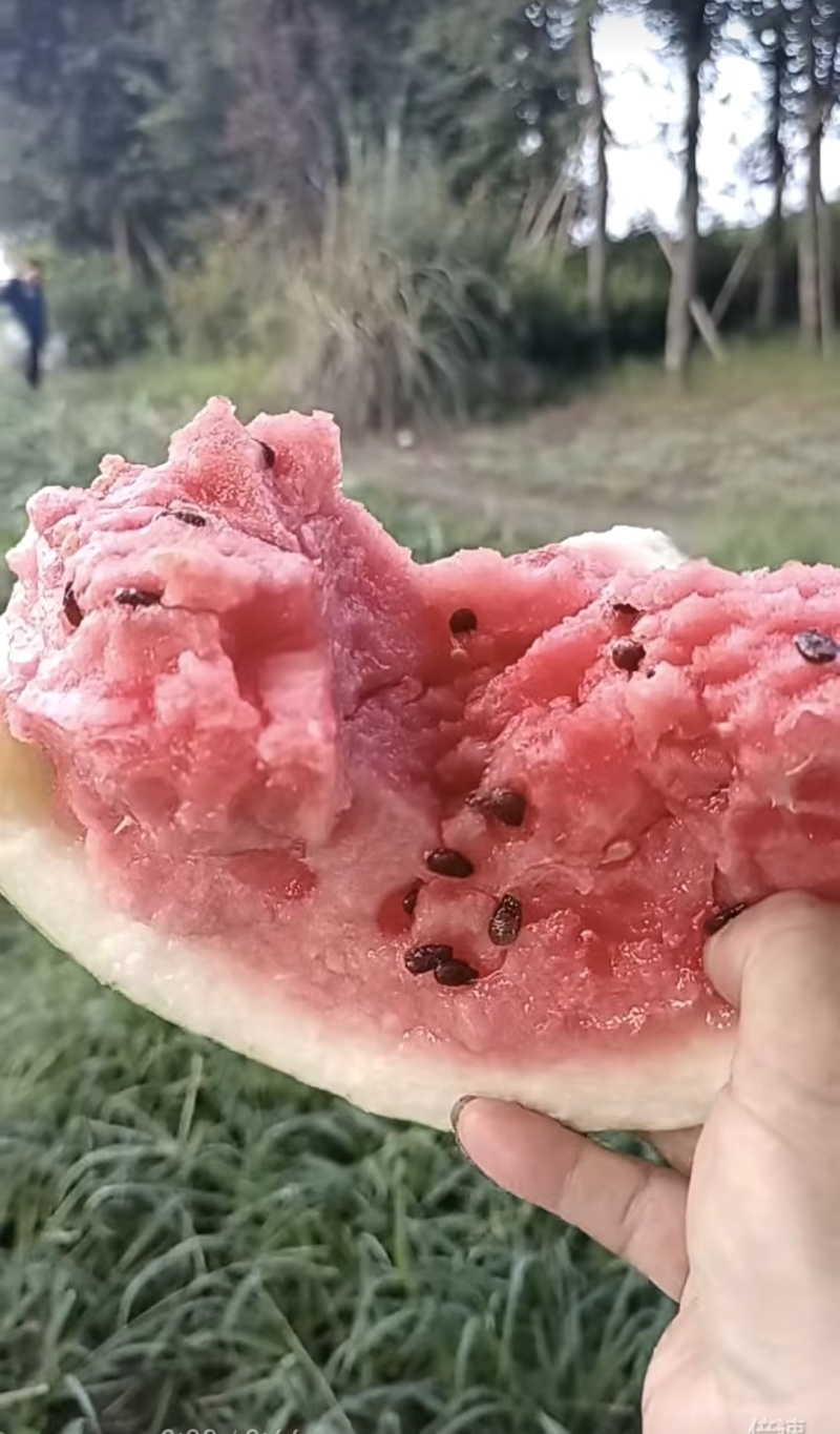 冰糖脆