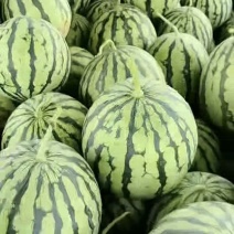 冰糖脆