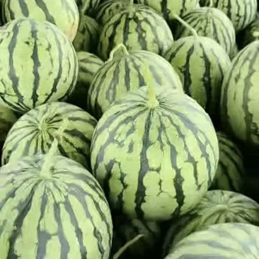 冰糖脆